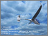[thumbnail of UltraVision glider project render, designer: Gonzalo Garcia-Atance, image 1]