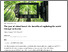 [thumbnail of THe Conversation Artcicle - Webcam Travel]